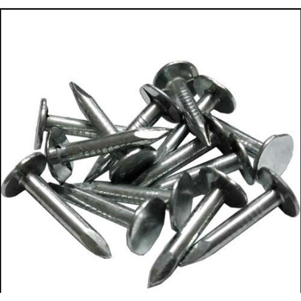 ŞINGIL ÇİVİSİ KG 2 CM SİLVER ASIRLIK