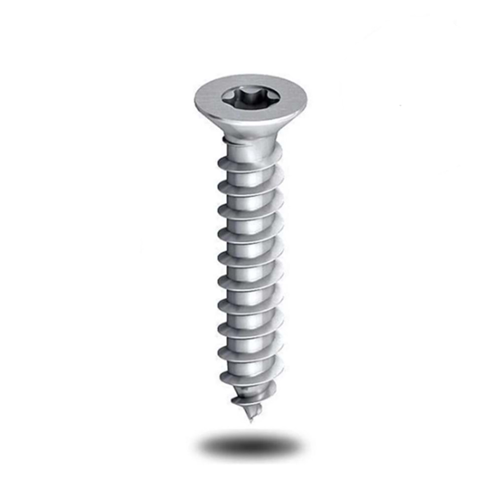 SELECTRON BULDEKS TORK VİDA 7.5*150 KROM