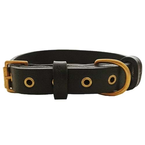 KÖPEK TASMASI KÜÇÜK FİNO 2*45CM SİYAH ADL