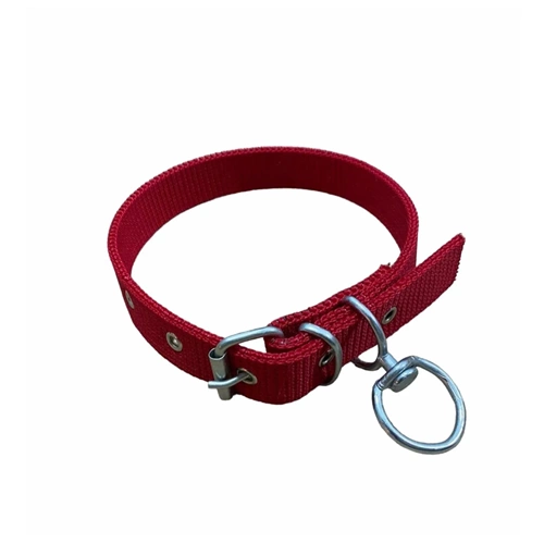 KÖPEK TASMASI BEZ-FIRDÖNDÜLÜ 60 CM-2.5 EN KARIŞIK BUL-MAX