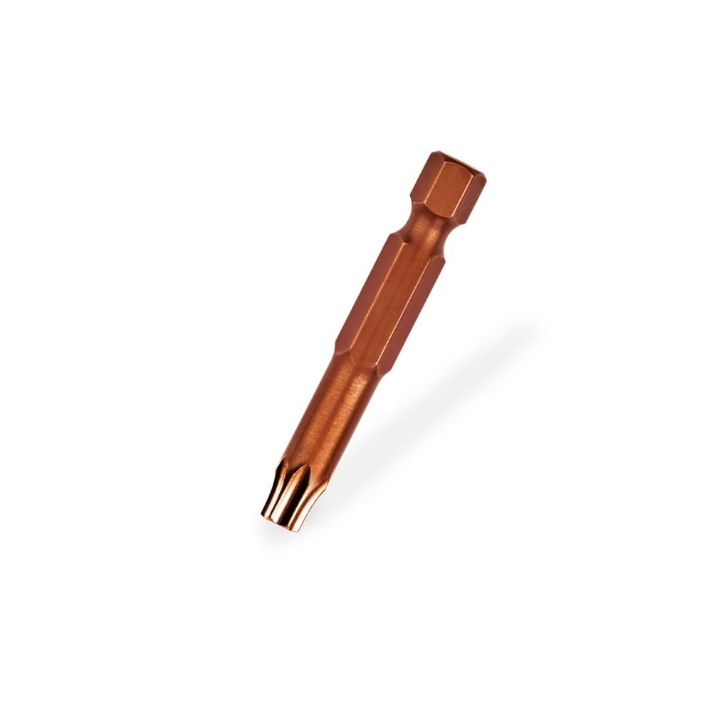 SGS TORK BİTS UÇ T30 1/4 50 MM KAHVERENGİ